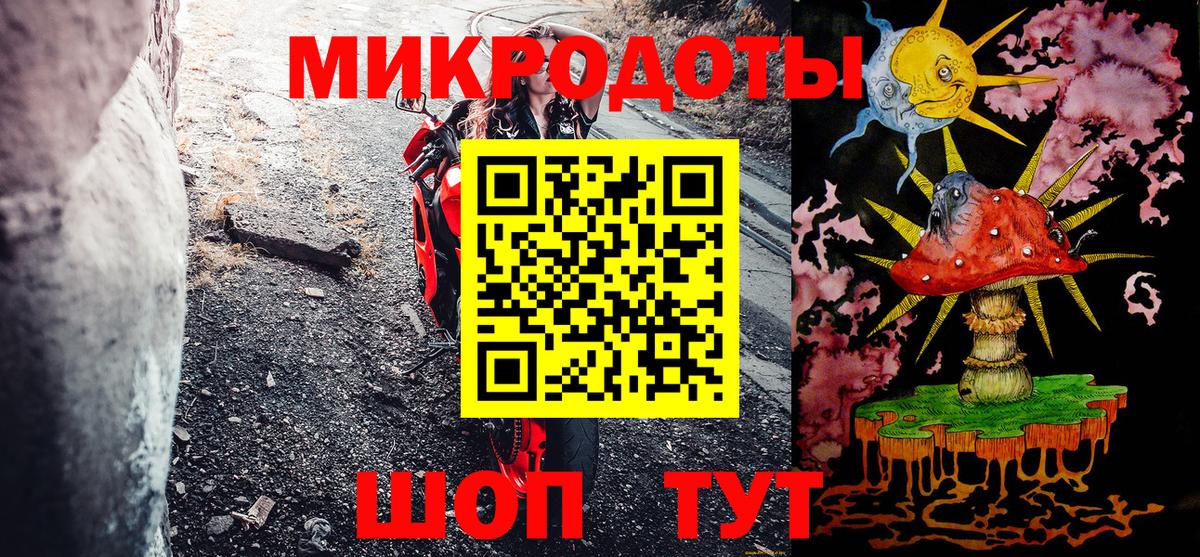 Галлюциногенные грибы Psilocybe Рославль